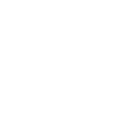 Visão
